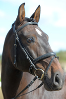 selano