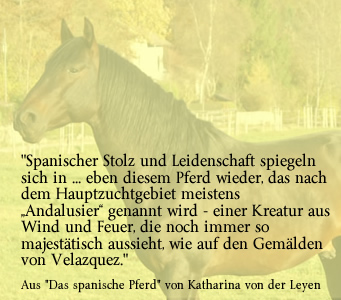 Gestuet Bel Air